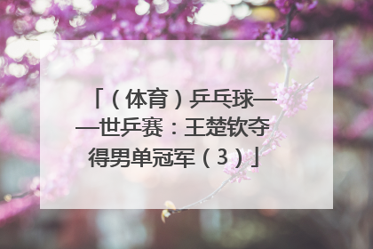 （体育）乒乓球——世乒赛：王楚钦夺得男单冠军（3）